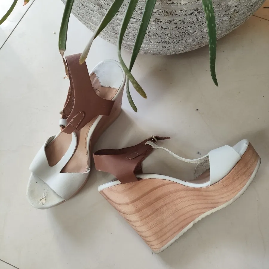 دو جفت کفش مجلسی زارا