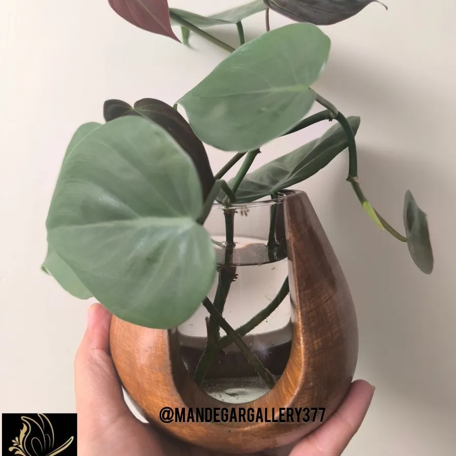 گلجا طرح چوب