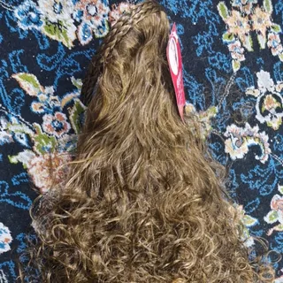 کلاه گیس تلی