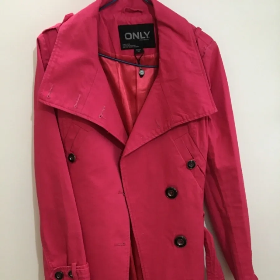 پالتو استردار