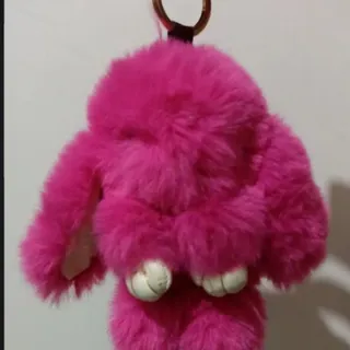 جاسوییچی خرگوشی