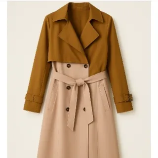 بارونی پیکسی