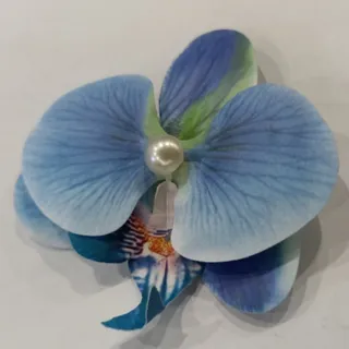 کلیپس و گیره ارکیده