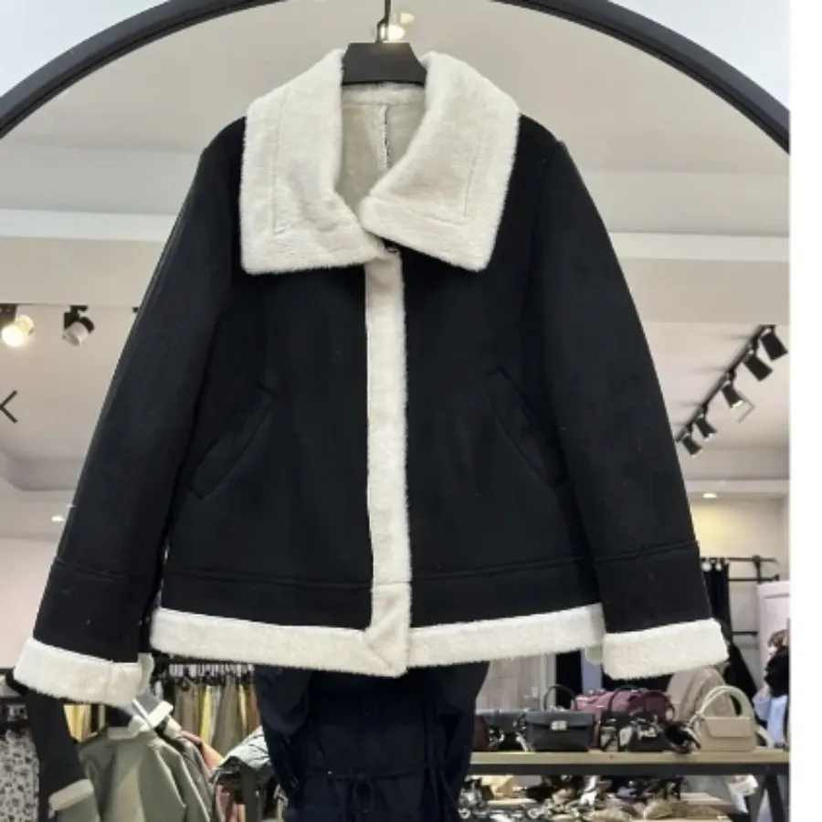 کت داخل تدی