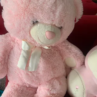 عروسک پولیشی