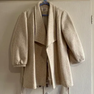 پالتو آستردار