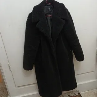 پالتو تدی آمریکایی