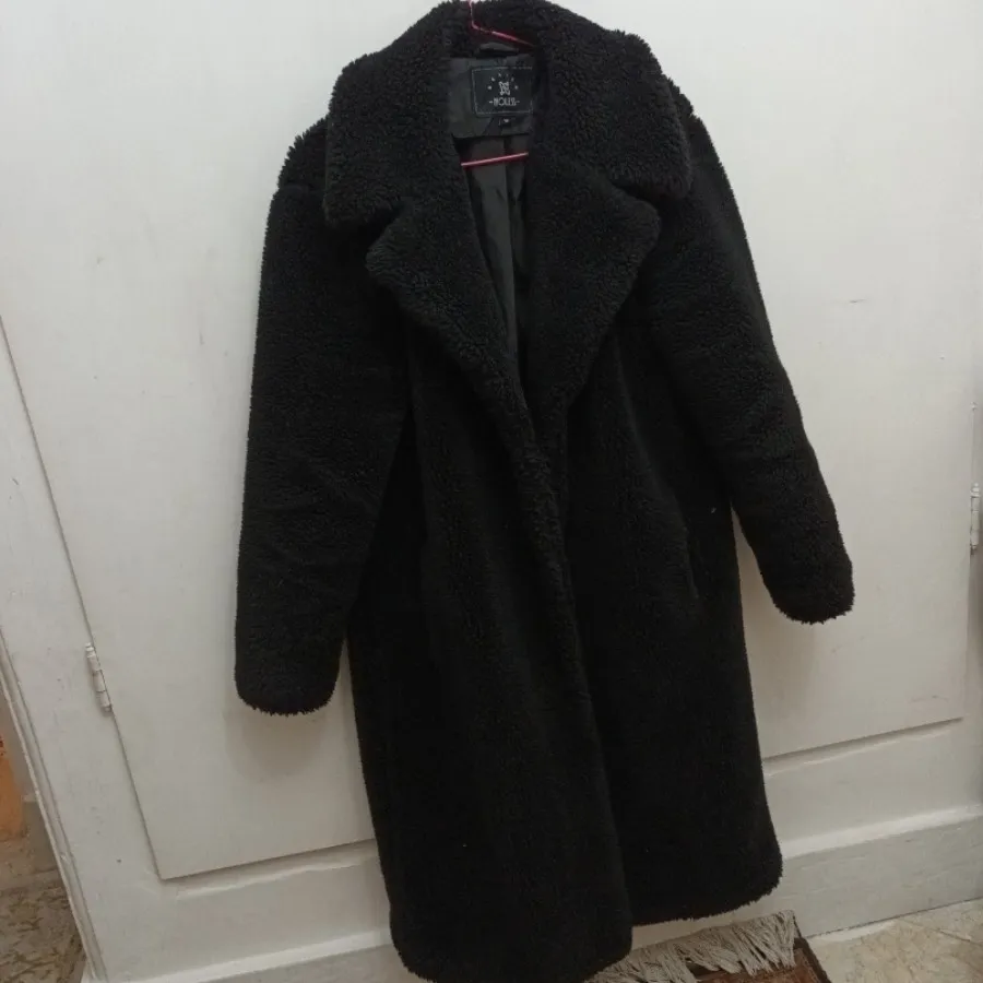 پالتو تدی آمریکایی