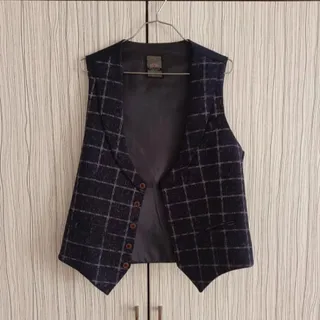 جلیقه مجلسی