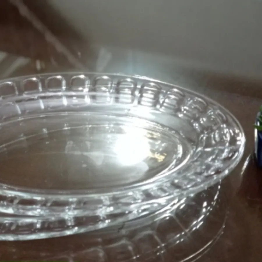 دیس پلو فرانسه