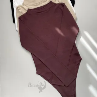 بادی استیندار