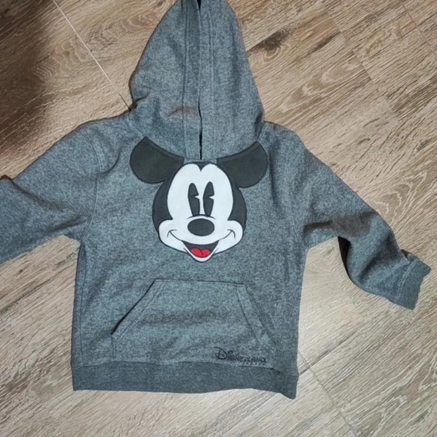 هودی تدی میکی موس