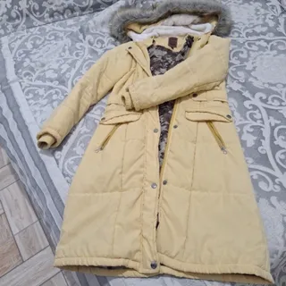 پالتو کره ای