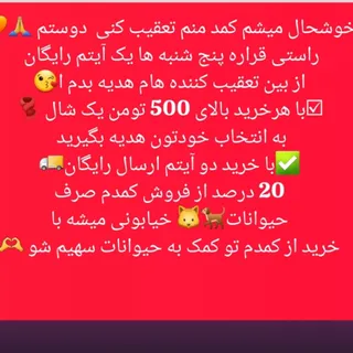کاپشن پالتو زمستونی گرم