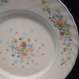 پلوخوری آرکوپال ویکتوریا