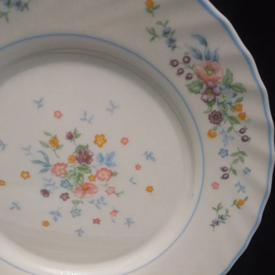 پلوخوری آرکوپال ویکتوریا