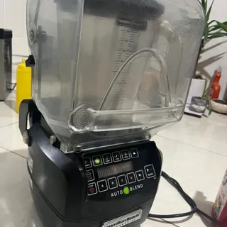 بلندر همیلتون بیچ