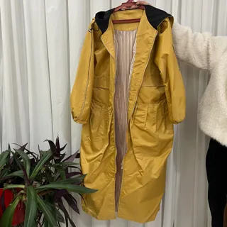 بارونی آسترکشی