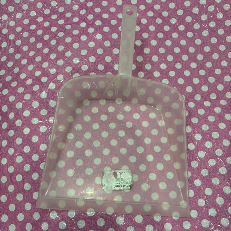 خاک انداز سالم