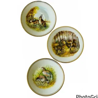 ست سه تایی بشقاب دیوارکوب