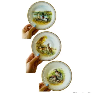 سه تابشقاب پرنده و حیوان