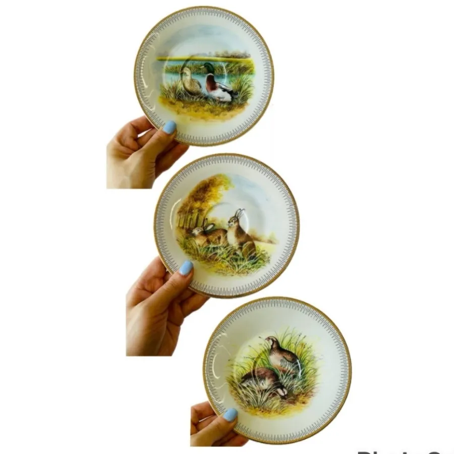 سه تابشقاب پرنده و حیوان