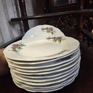 12تا پیشدستی ارسال رایگان