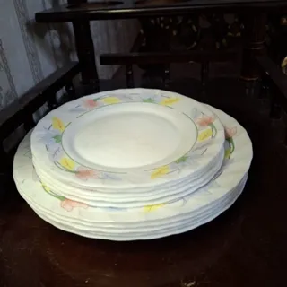 10تا آرکوپال ارسال رایگان