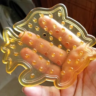 ماهی سلیکونی