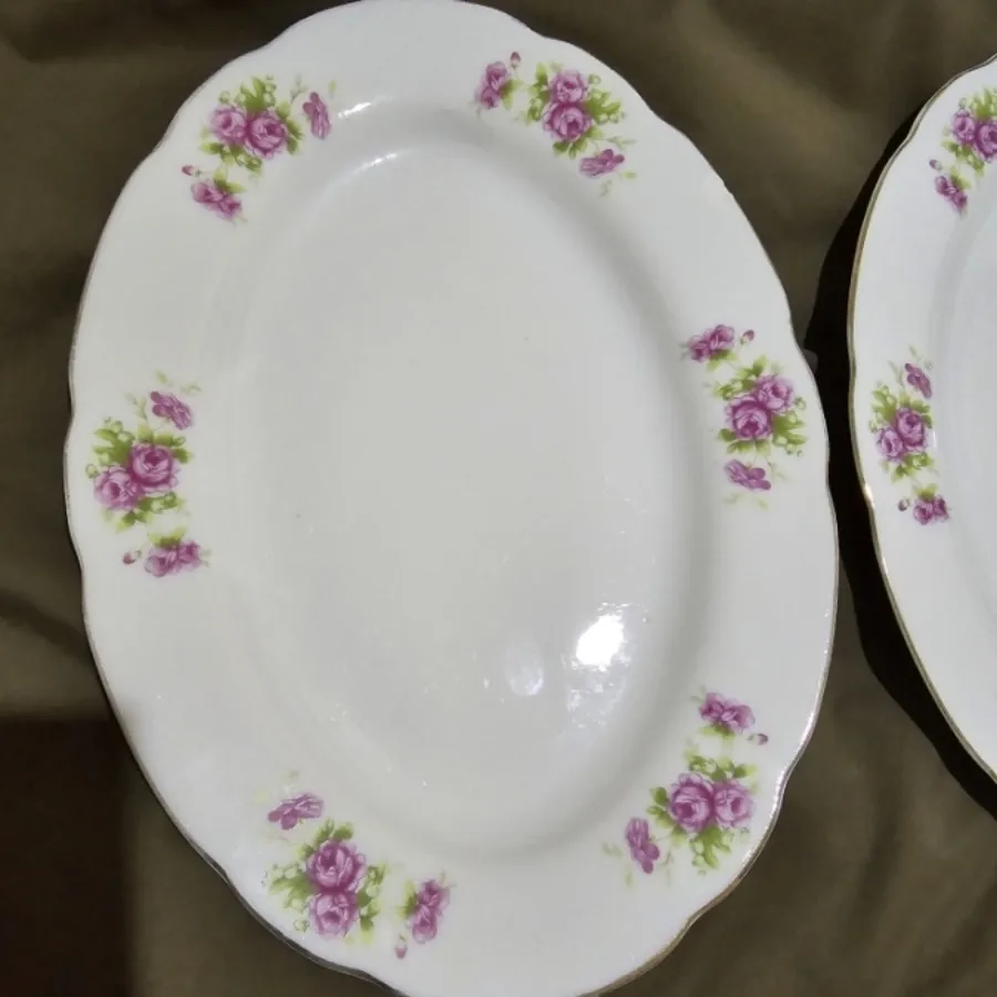 دیس گلسرخی ژاپن