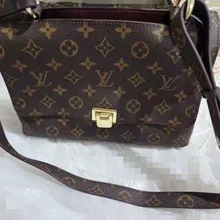 کیف لویی ویتون