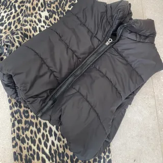 ژیله کاپشنی