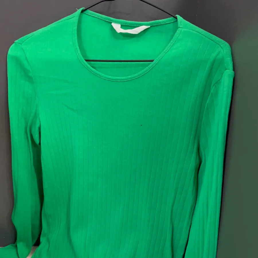 کراپ پاییزه mangoسایزs