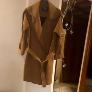 بارونی خردلی