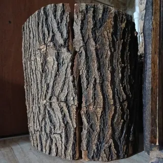 چوب تنه درخت ،رستیک