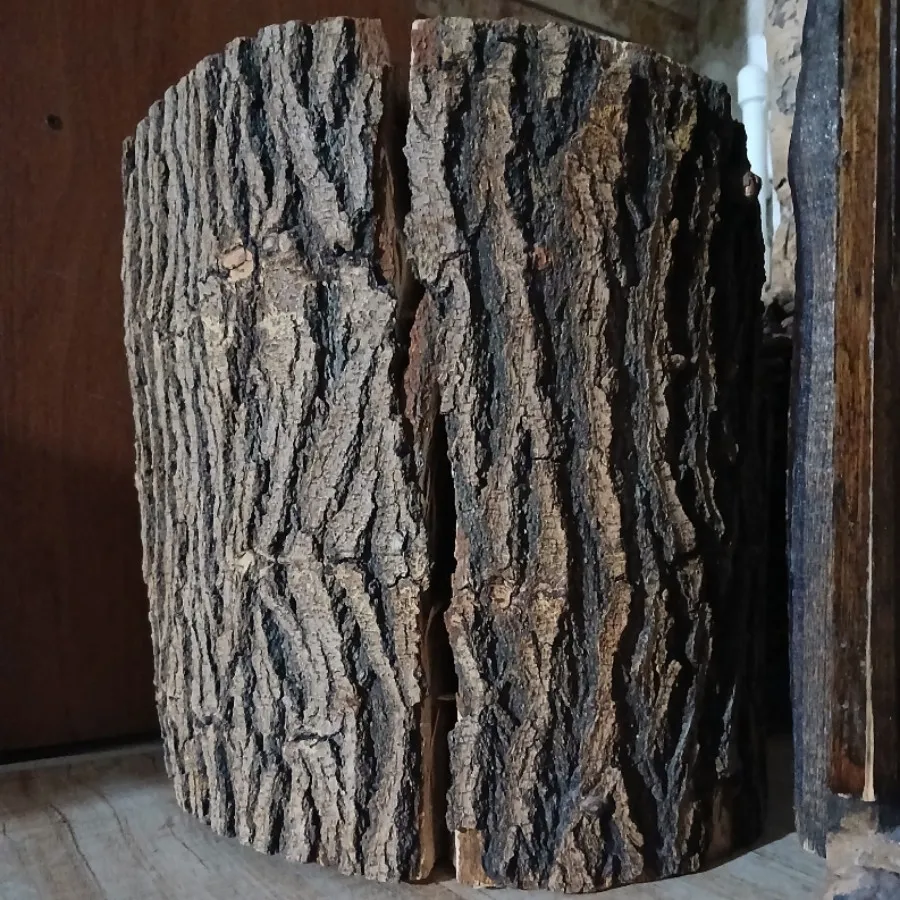 چوب تنه درخت ،رستیک