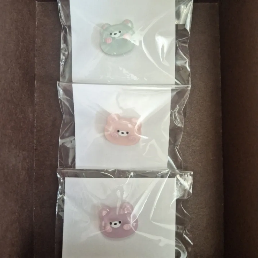 پین و پیکسل خرسی