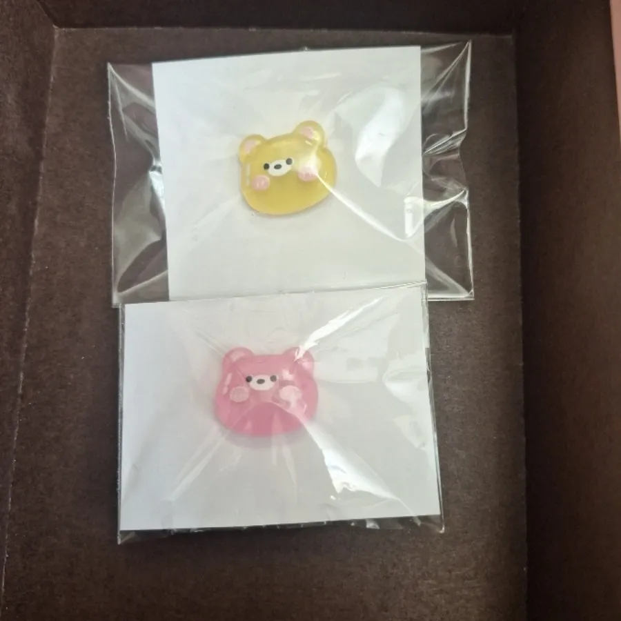 پین و پیکسل خرسی