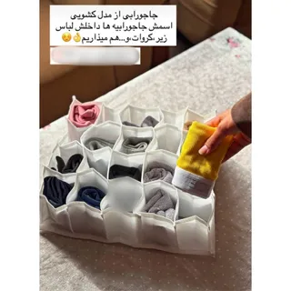 نظم دهنده جاجورابی