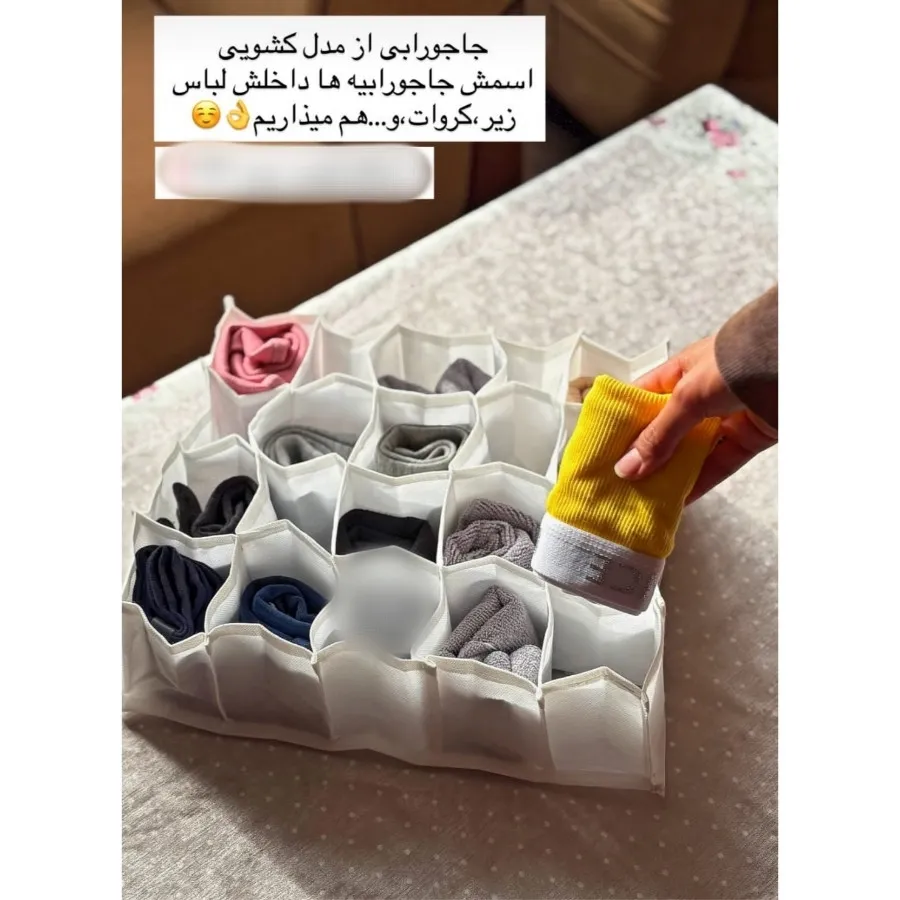 نظم دهنده جاجورابی