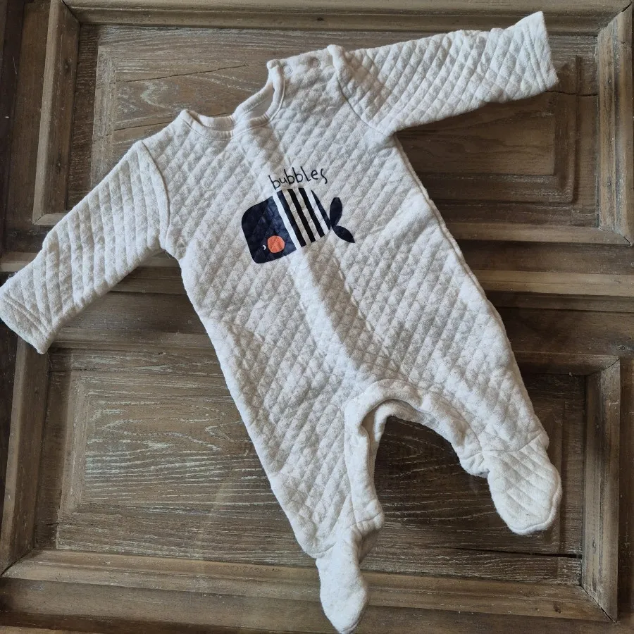 سرهمی ضخیم نهنگ