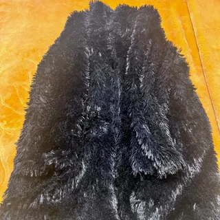 پالتو خارجی