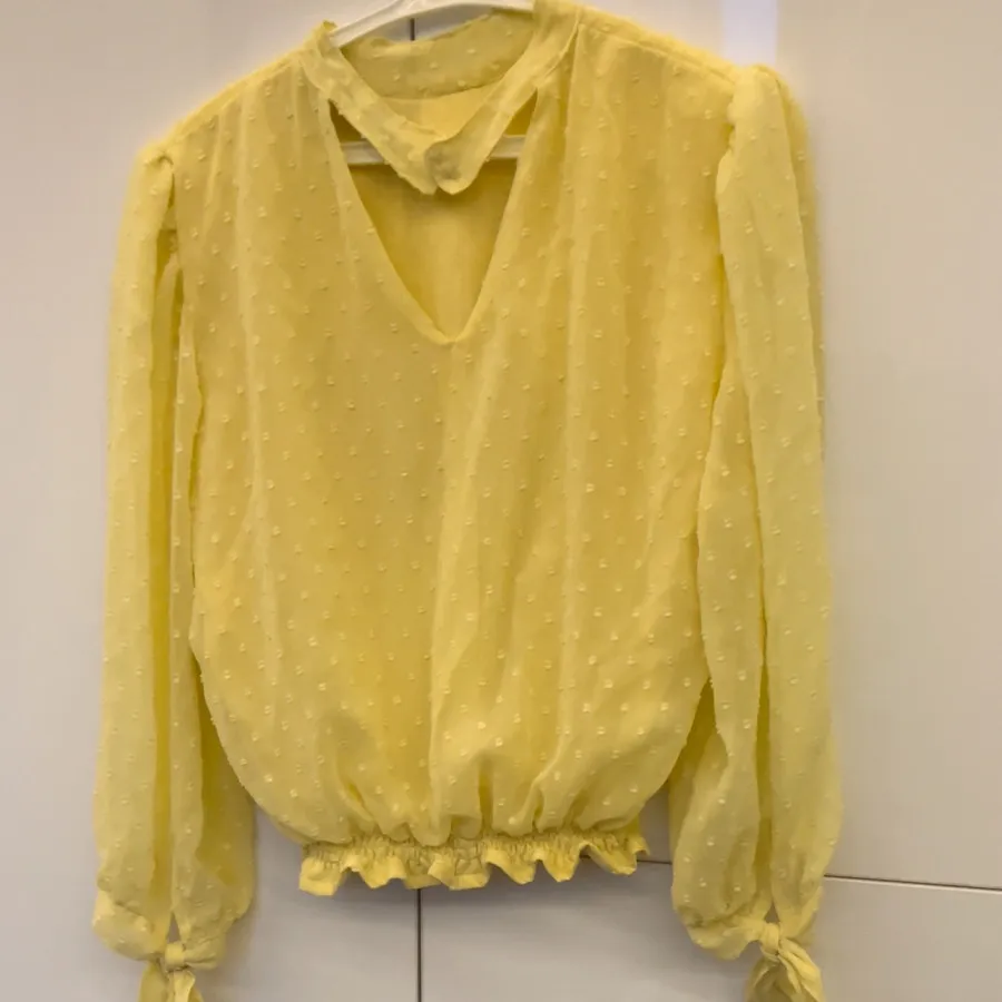 شونیز مجلسی