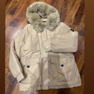 پالتو وارداتی