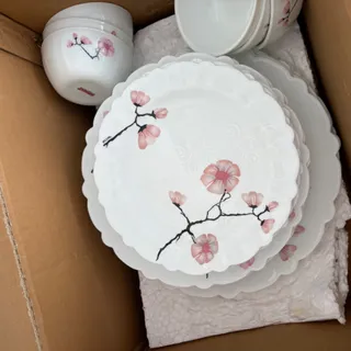 ست ارکوپال شش نفره