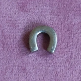 پلاک نقره نعل اسب