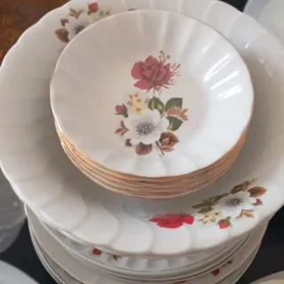 سرویس چینی گلسرخی 5 نفره