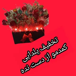 پالتو شیک زمستونی
