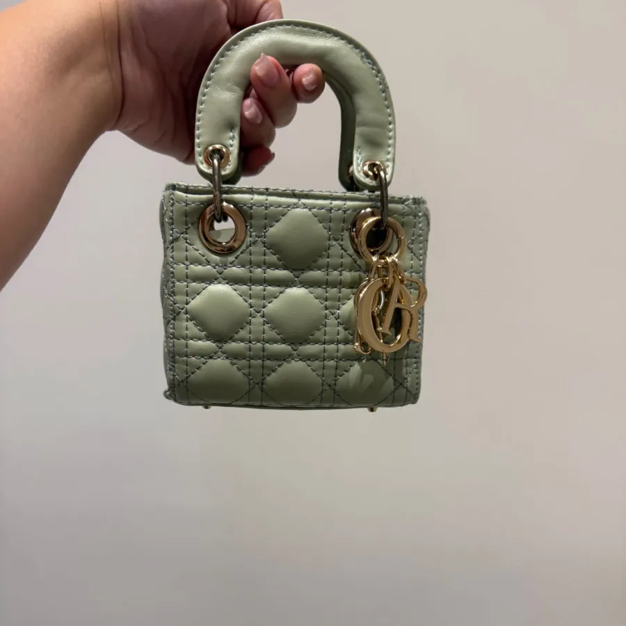 مینی کیف دیور