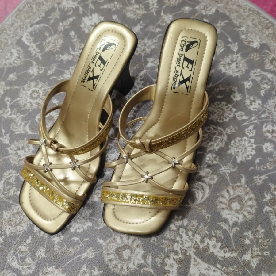 دمپایی مجلسی